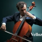 understanding-vellozgalgoen