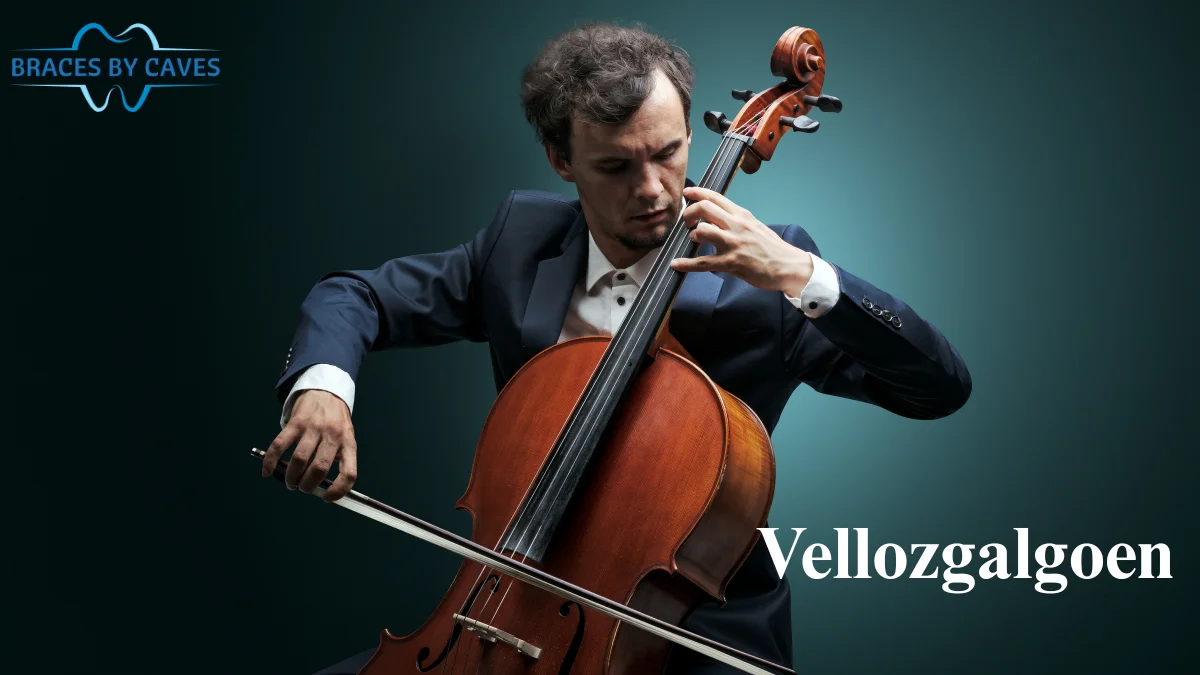 understanding-vellozgalgoen